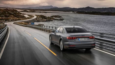 Dynamic and self-assured