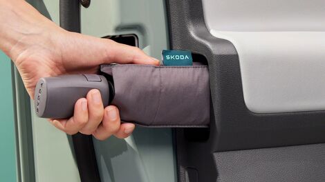 The integrated umbrella