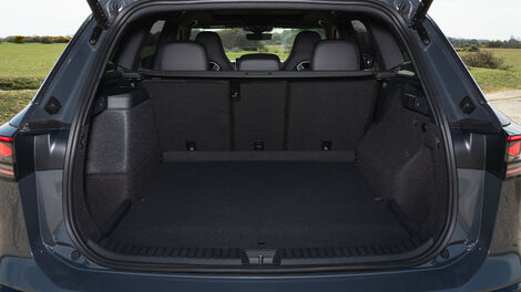 The perfect family-friendly companion