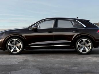 Audi Q8 TFSI e