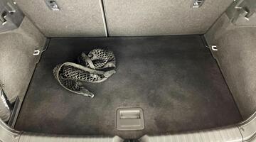 2022 Audi 1.0 TFSI 25 Technik Sportback Euro 6 5-door (White) - Image: 29