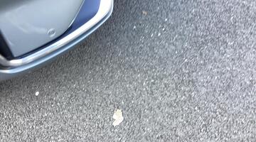 2025 Ford EcoBoost ST-Line X Euro 6 5-door (Silver) - Image: 16