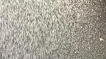 2019 Ford Ti-VCT Trend Euro 6 5-door (Silver) - Image: 25