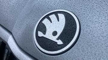 2025 Škoda TSI e-TEC MHEV SE L DSG Euro 6 5-door (Grey) - Image: 13