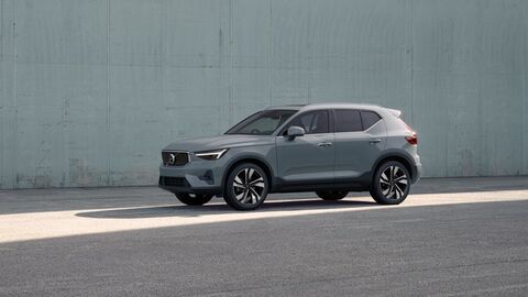 Paintless Dent Removal